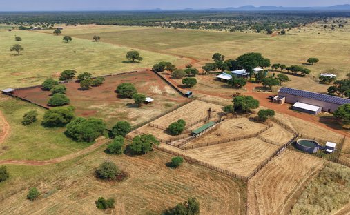 Corps de ferme en Dwaalboom, Limpopo, Afrique du Sud 1