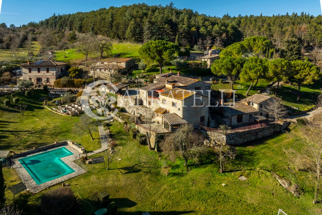 Country House in Castellina in Chianti, Tuscany, Italy 4 - 16950810