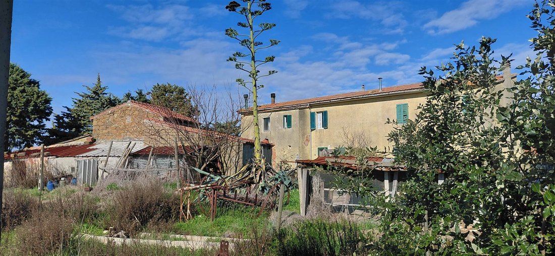 Estate in Scansano, Tuscany, Italy 1 - 17104344
