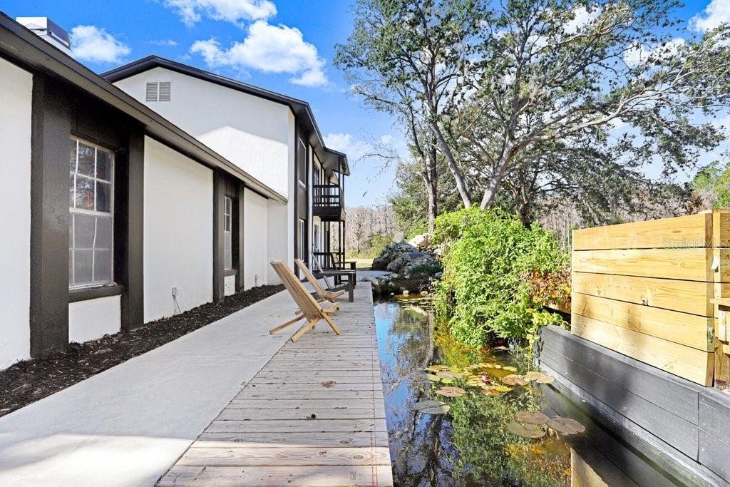 House in Land O' Lakes, Florida, United States 3 - 17128532