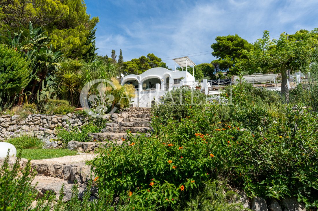 Villa in Anacapri, Campania, Italy 3 - 16214018
