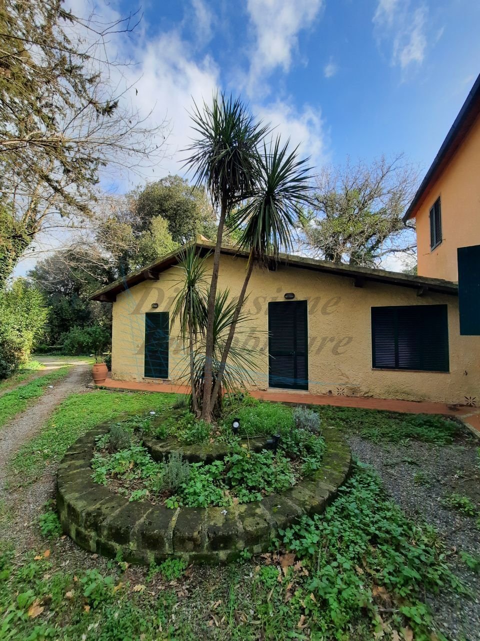 Villa in Bibbona, Tuscany, Italy 4 - 17100536