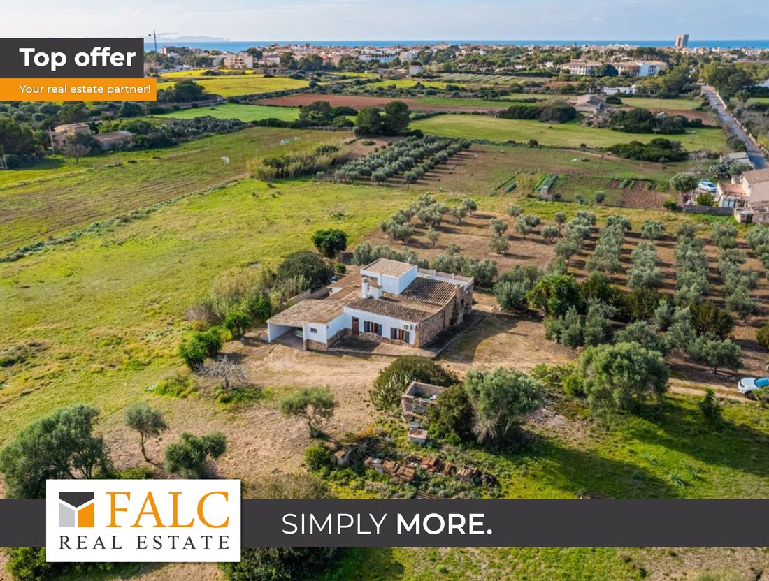 Finca in ses Salines, Balearic Islands, Spain 1 - 17100064