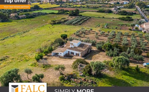 Finca in ses Salines, Balearic Islands, Spain 1