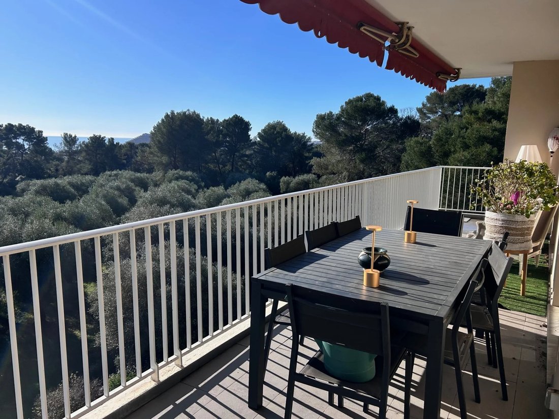 Apartment in Saint Veran, Cagnes-sur-Mer, France 1 - 17090920