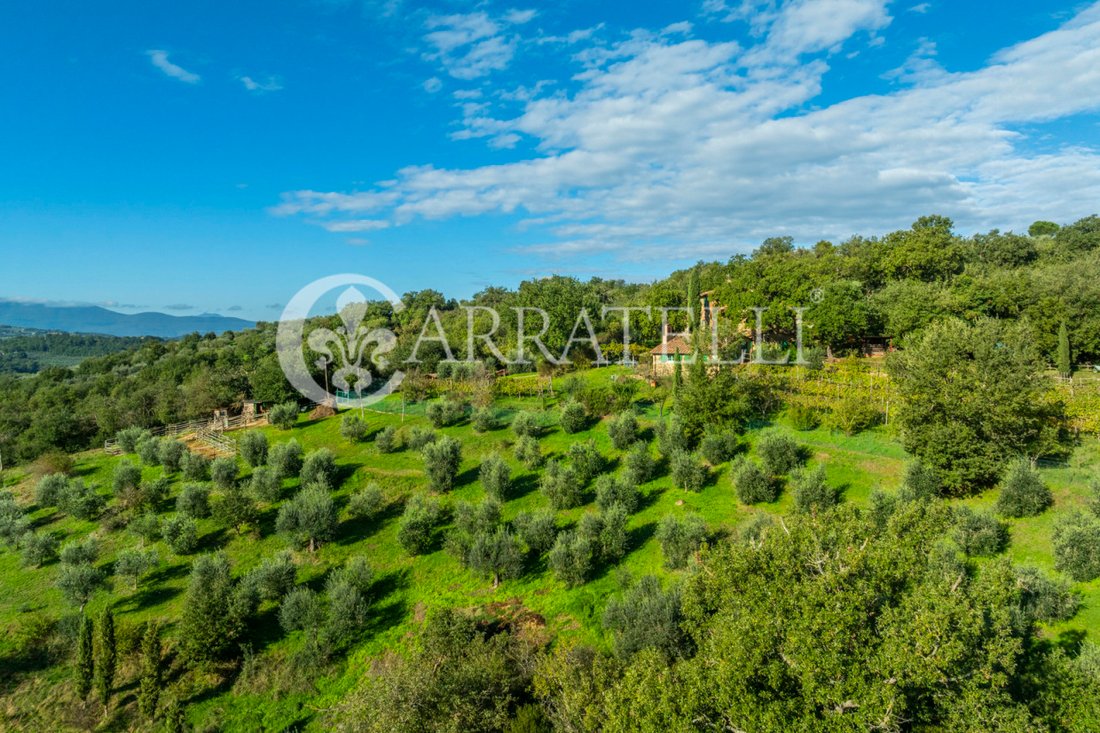 Country House in Città della Pieve, Umbria, Italy 4 - 11986192