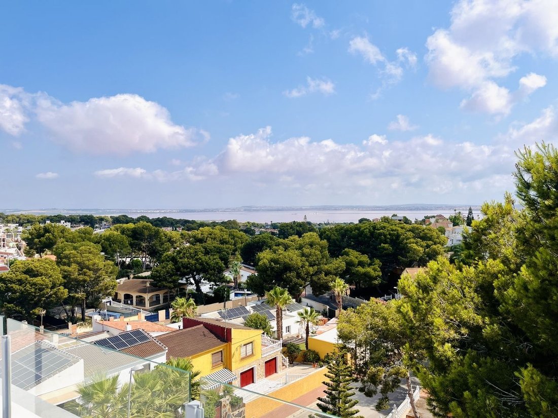 Villa in Orihuela, Valencian Community, Spain 3 - 17117967