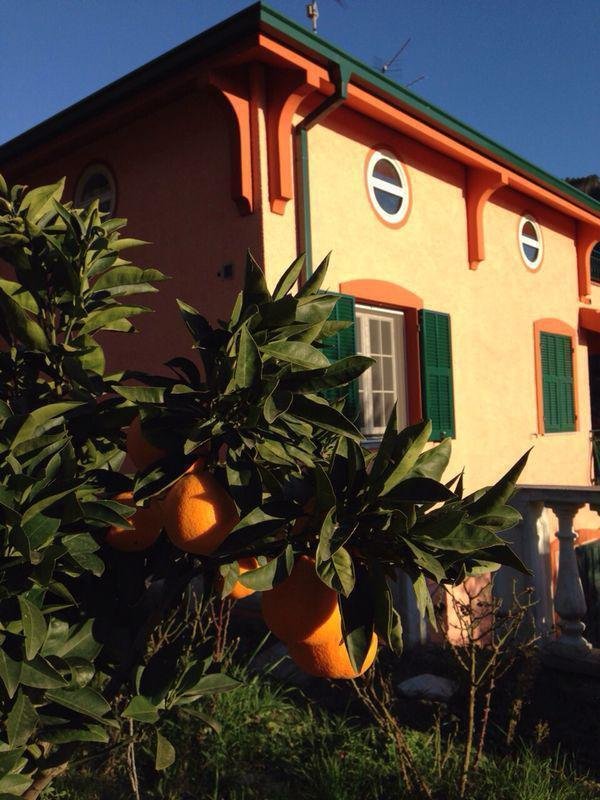 Casa en Vallebona, Liguria, Italia 1 - 16483842