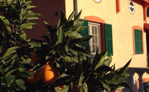 House in Vallebona, Liguria, Italy 1