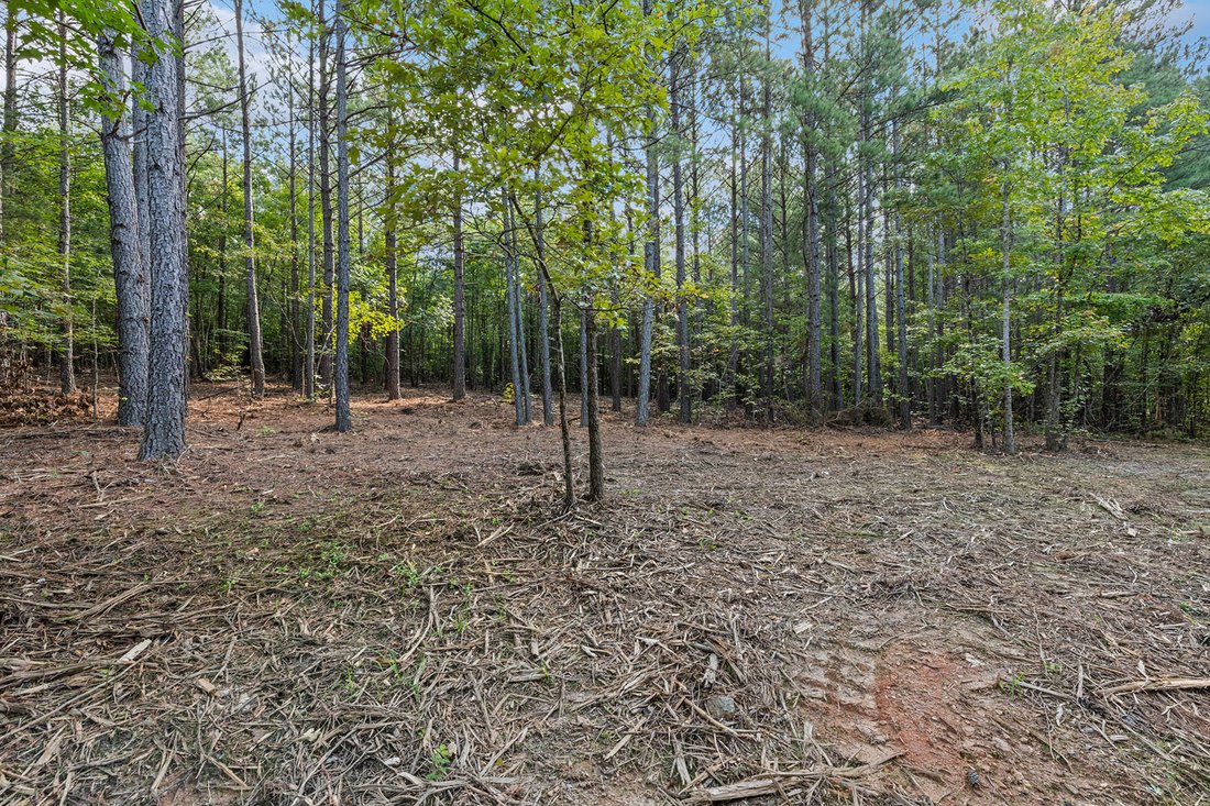 Land in Bostic, North Carolina, United States 5 - 17100728