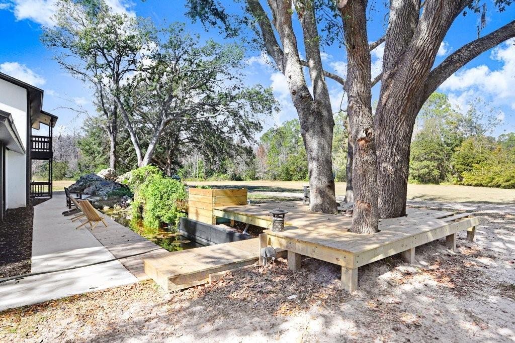 House in Land O' Lakes, Florida, United States 2 - 17128532