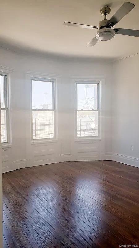 House in New York, New York, United States 5 - 17128939