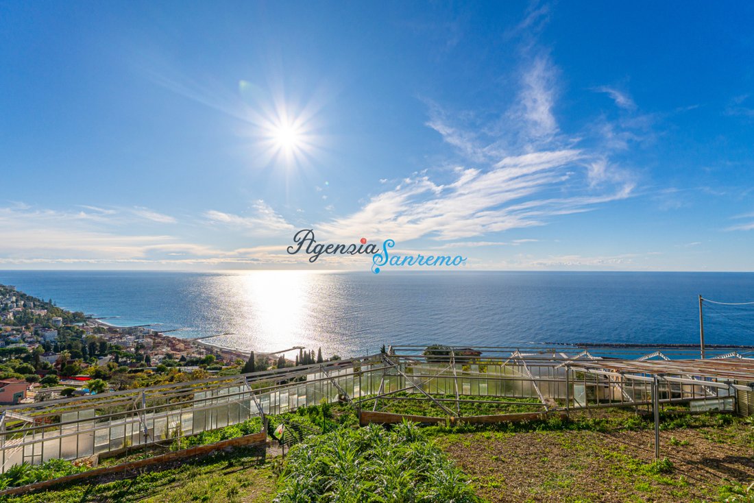 Marconi - Porrine, Ospedaletti, Liguria 5 - 16994565