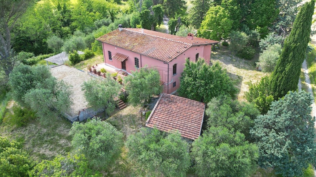 Farm Ranch in Historisches Zentrum, Lucca, Toskana 2 - 15822301