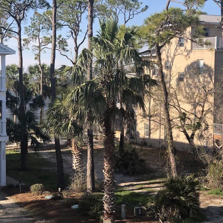 House in Saint George Island, Florida, United States 4 - 17101664