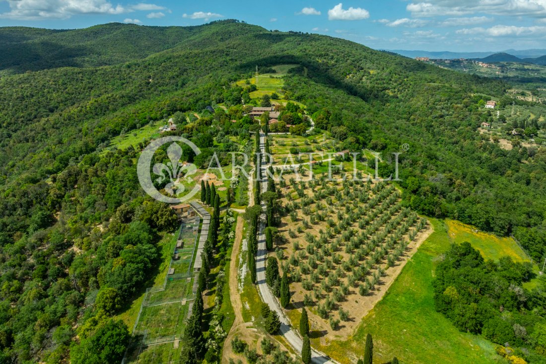 Farm Ranch in Panicale, Umbria, Italy 5 - 15890147