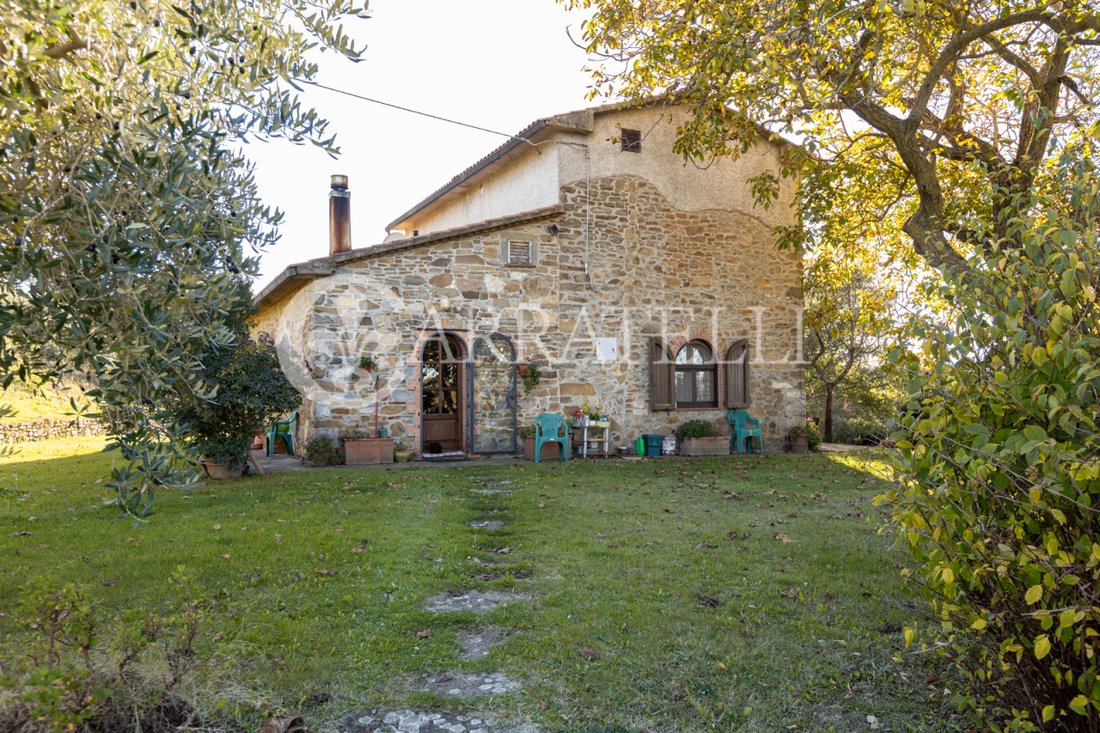 Country House in Scansano, Tuscany, Italy 5 - 16621079