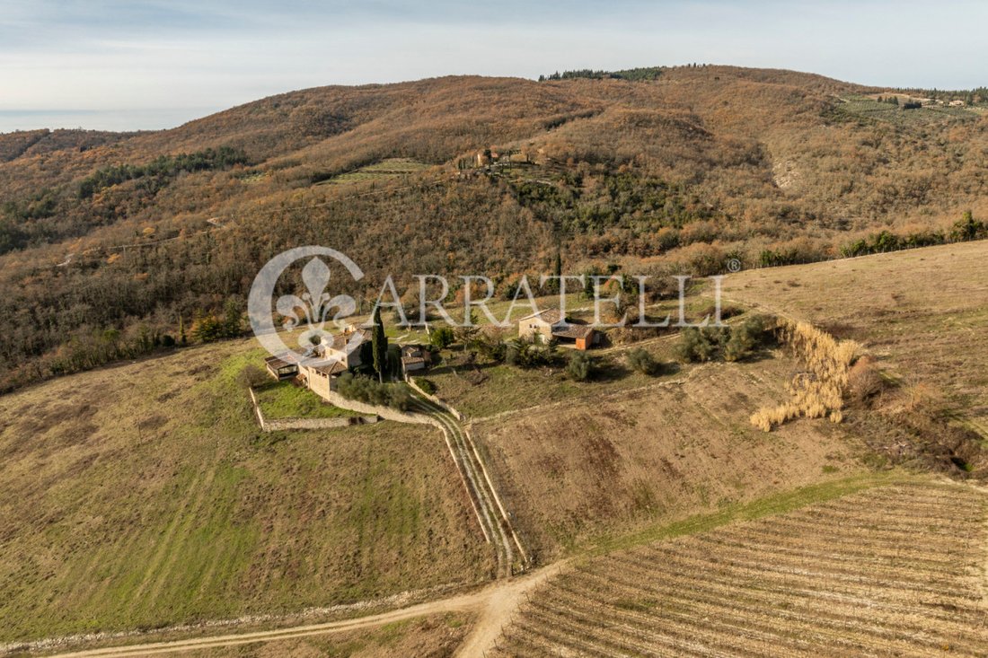 Country House in Radda in Chianti, Tuscany, Italy 5 - 13585576