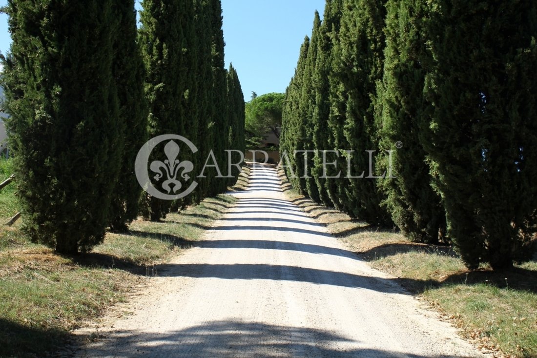 Country House in Montalcino, Tuscany, Italy 5 - 10646533