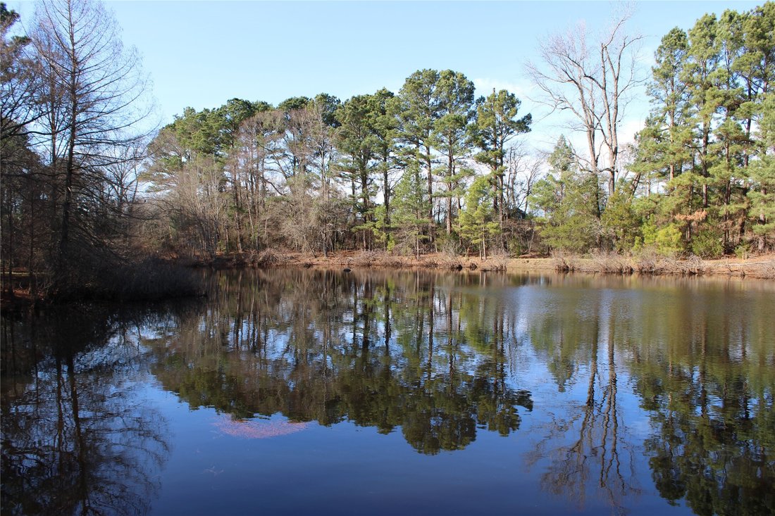 Farm Ranch in Pittsburg, Texas, United States 5 - 17100247