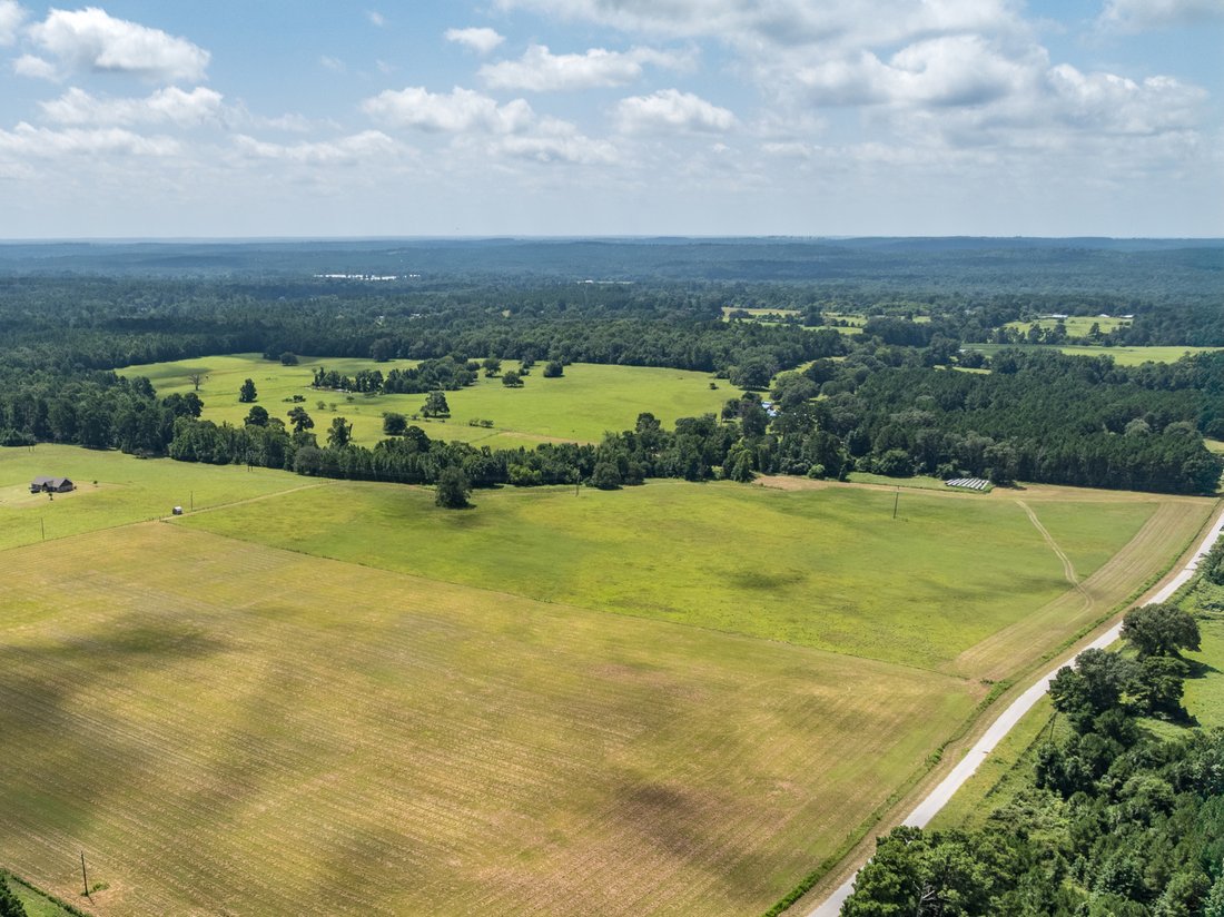 Farm Ranch in Palestine, Texas, United States 3 - 17123183