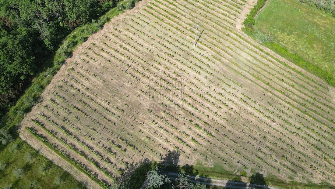 Farm Ranch in Historisches Zentrum, Lucca, Toskana 5 - 15822301