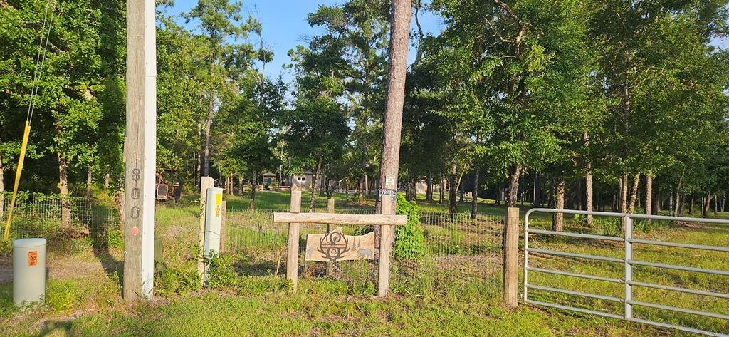House in Carrabelle, Florida, United States 3 - 17101602