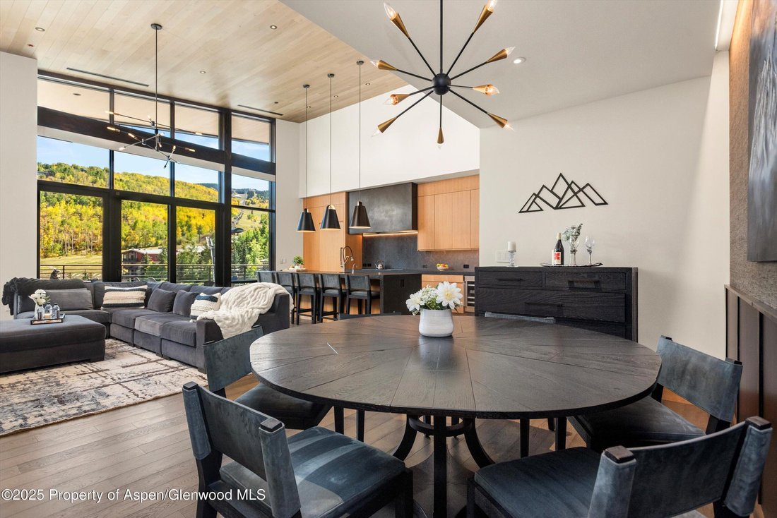 Condo in Aspen, Colorado, United States 5 - 17100425