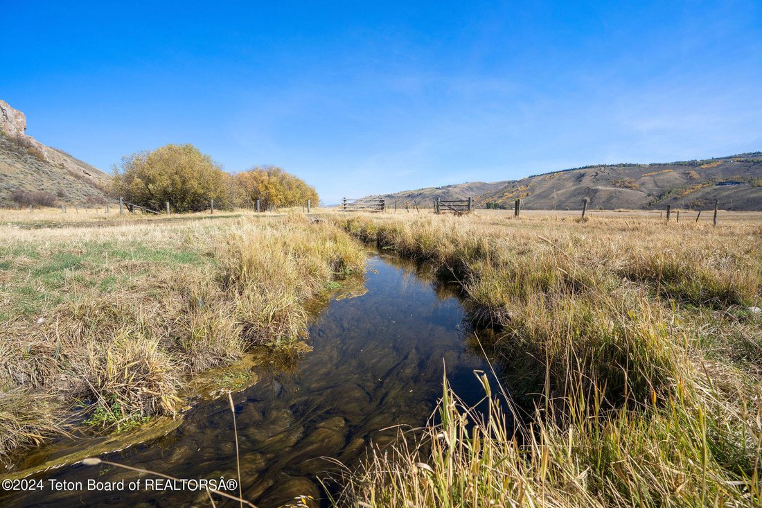 Jackson, Wyoming, United States 3 - 17098590