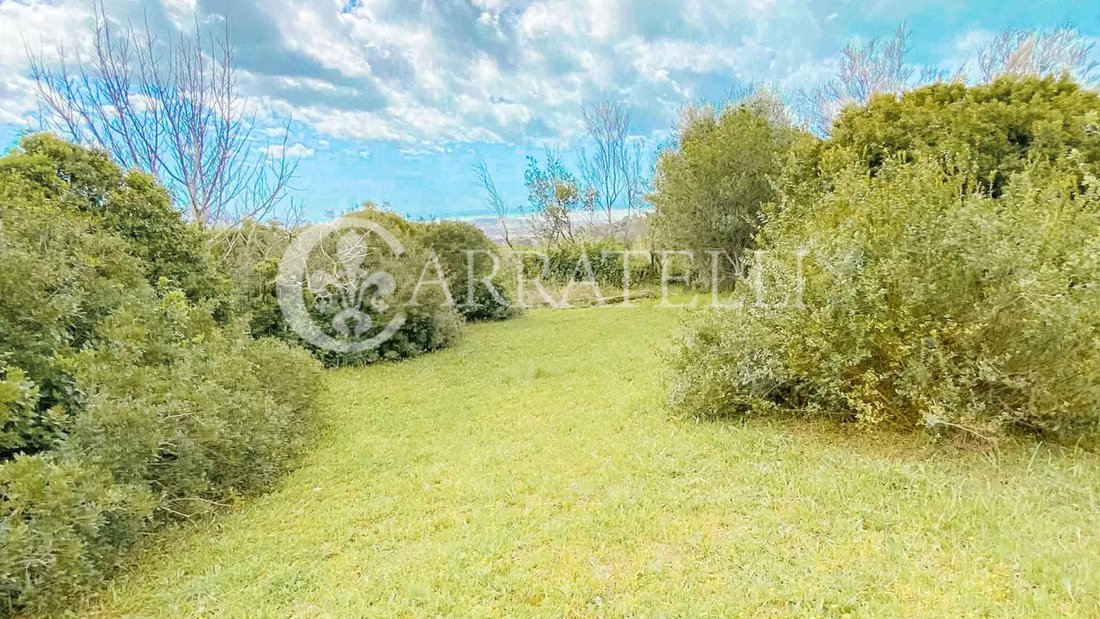Villa in Castiglioncello, Rosignano Marittimo, Tuscany 4 - 15550642