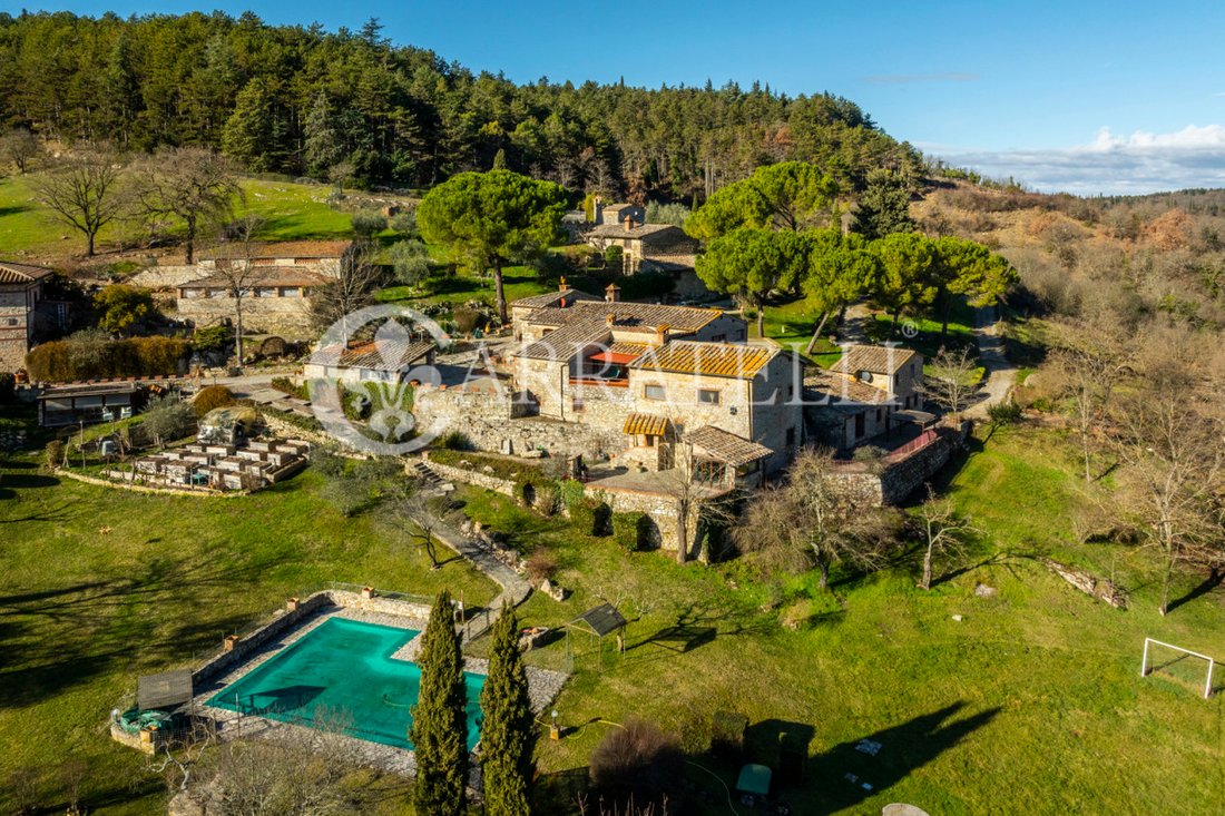 Country House in Castellina in Chianti, Tuscany, Italy 3 - 16950810