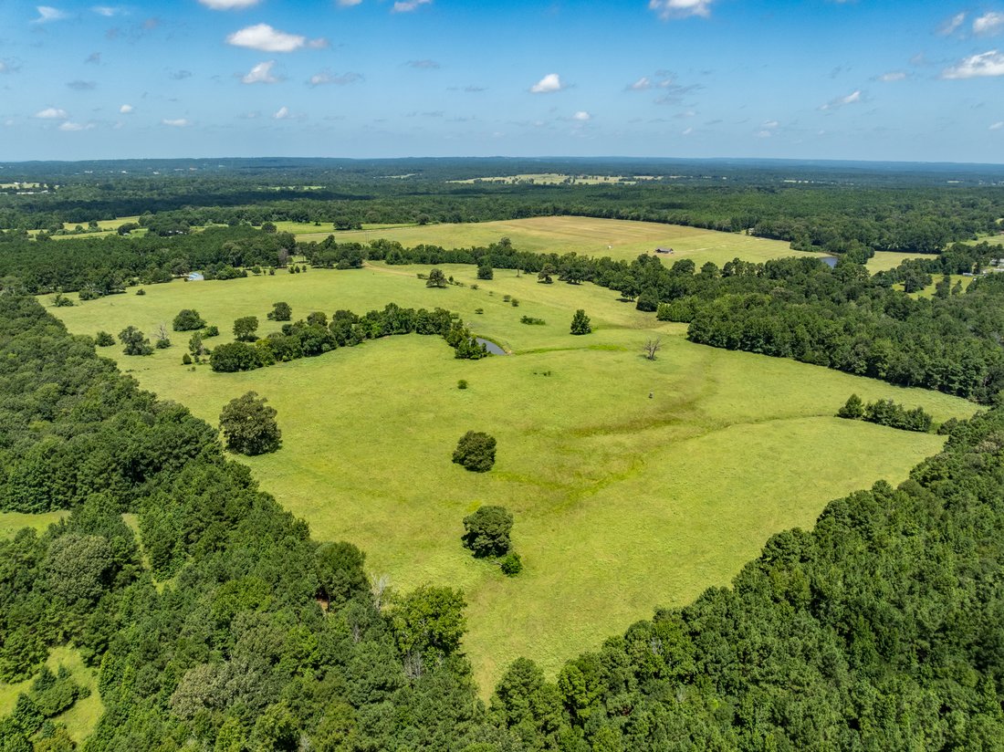 Farm Ranch in Palestine, Texas, United States 1 - 17123183