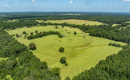 Farm Ranch in Palestine, Texas, United States 1