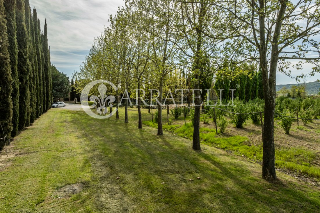 Country House in Castiglione del Lago, Umbria, Italy 5 - 14210424