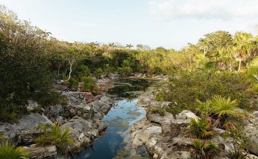 House in Akumal, Quintana Roo, Mexico 1
