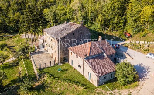 Azienda agricola a Centro, Cortona, Toscana 1