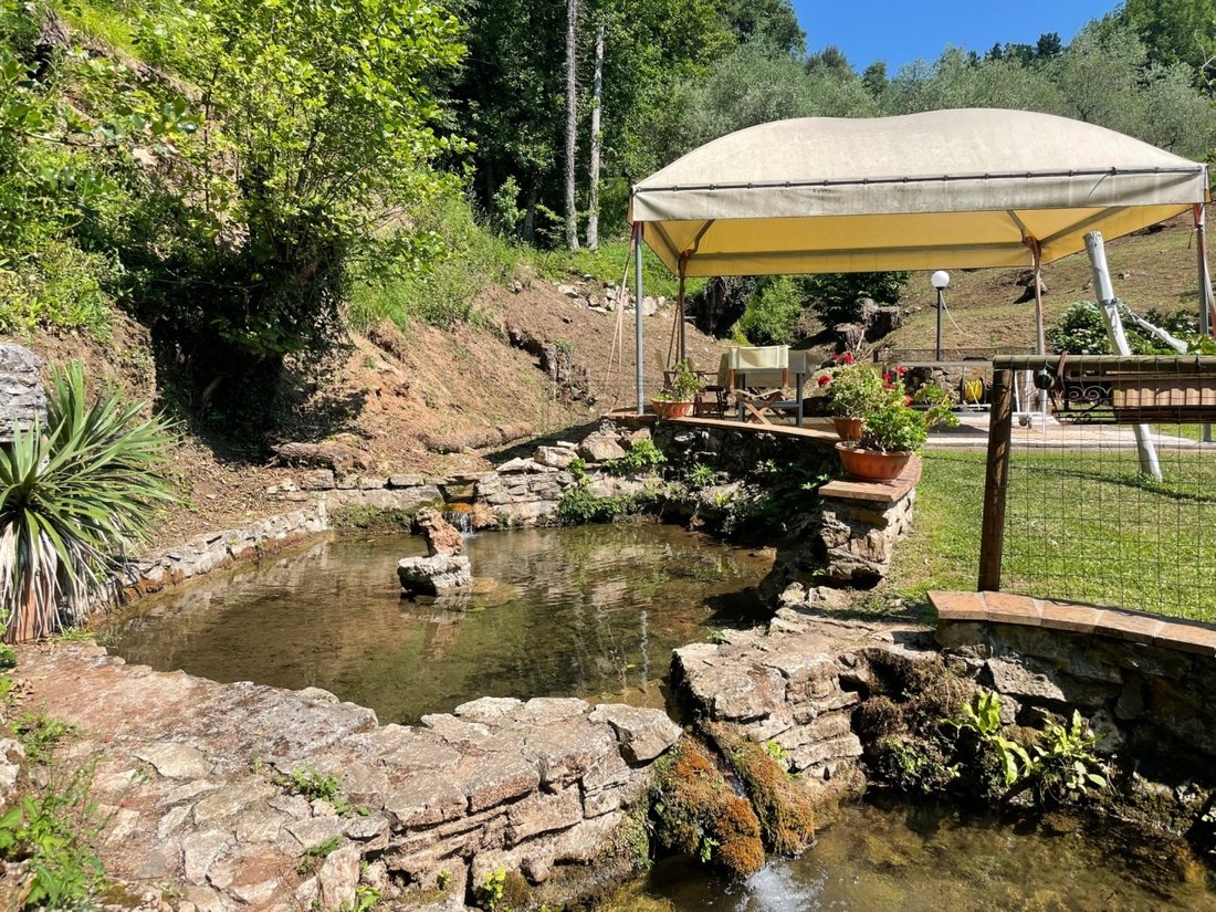 Country House in Area Monte San Quirico - Sant'Alessio, Lucca, Tuscany 5 - 13000802