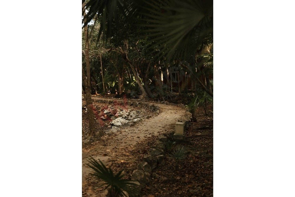 Maison à Akumal, Quintana Roo, Mexique 5 - 17104612