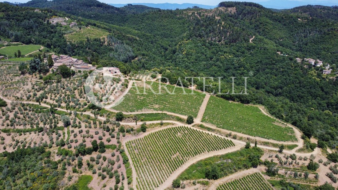 Country House in Gaiole in Chianti, Tuscany, Italy 5 - 14583615