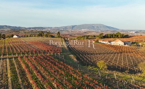 Finca a Aldeia Galega da Merceana, Lisbona, Portogallo 1