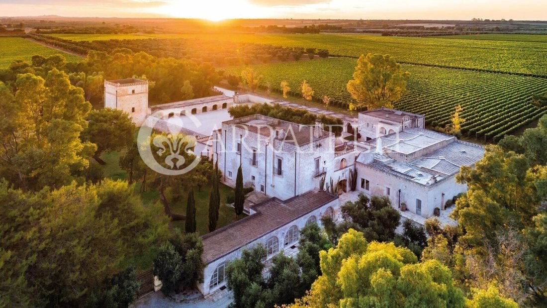 Country House in Torre Santa Susanna, Apulia, Italy 3 - 14859213