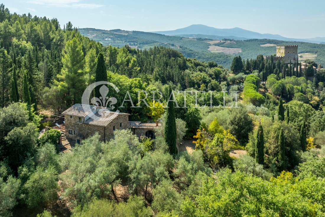 Country House in Castiglione d'Orcia, Tuscany, Italy 5 - 16077075