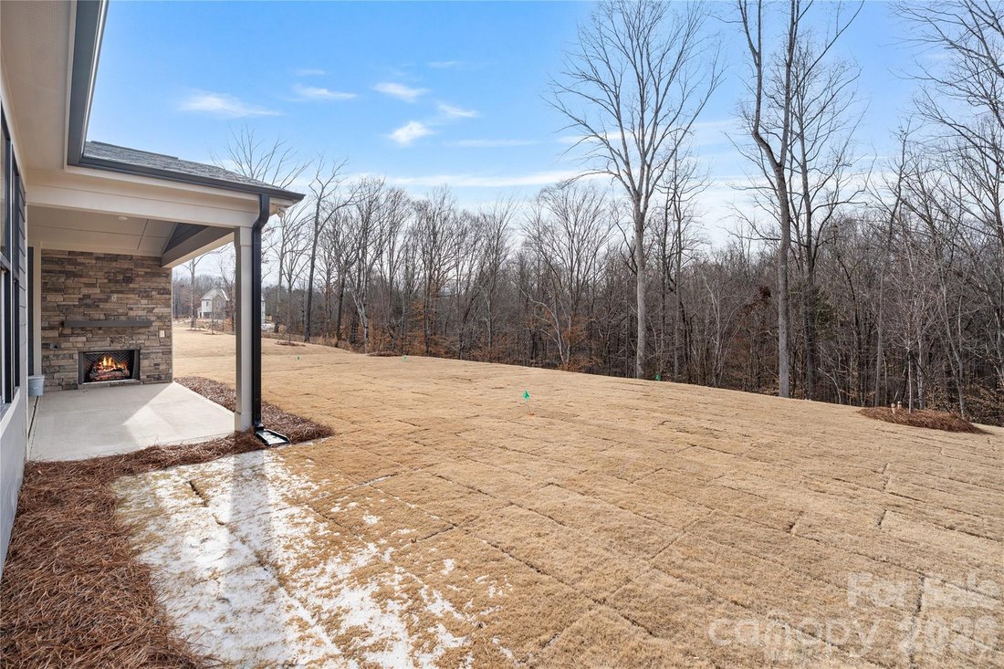 House in Wesley Chapel, North Carolina, United States 4 - 17099393