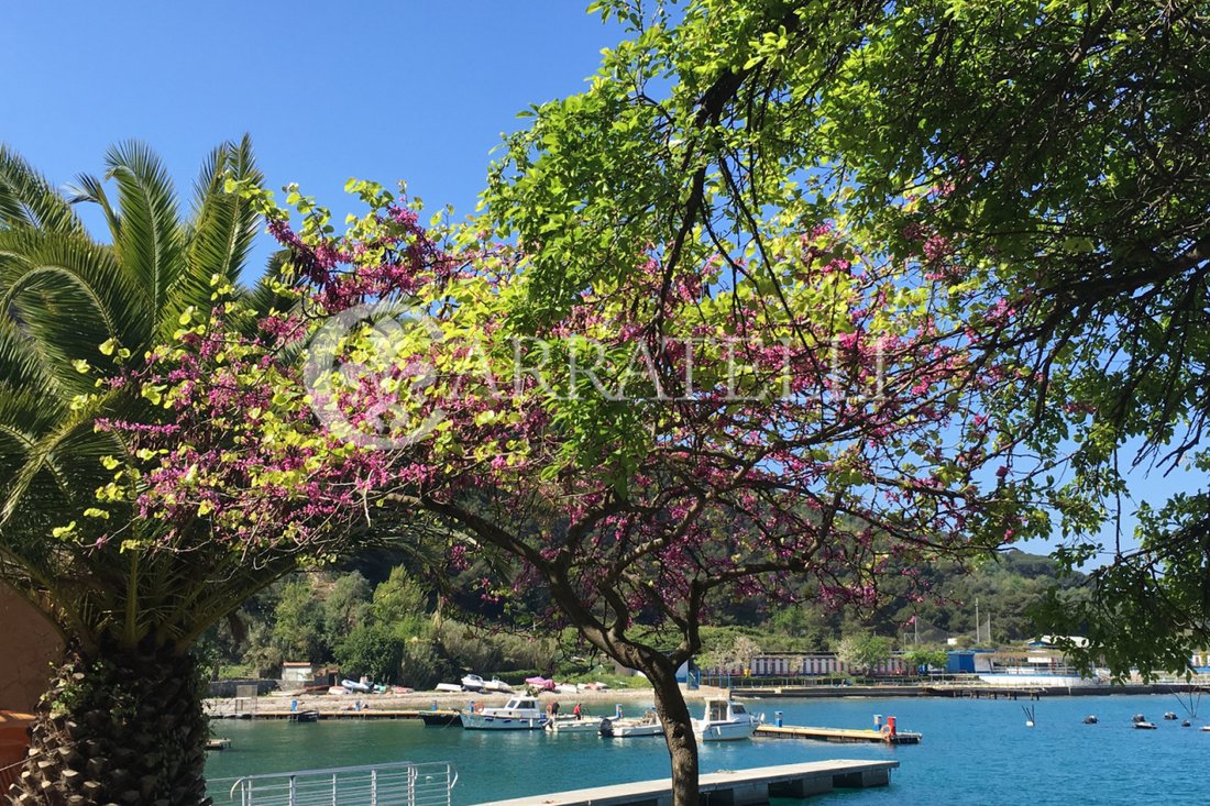 Country House in Palmaria Island, Liguria, Italy 1 - 12424513