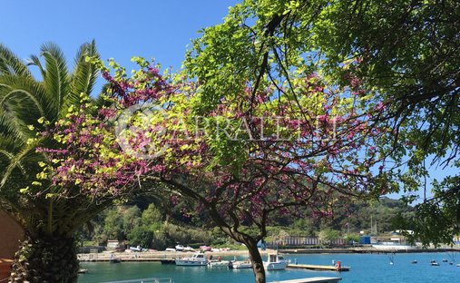 Country House in Palmaria Island, Liguria, Italy 1