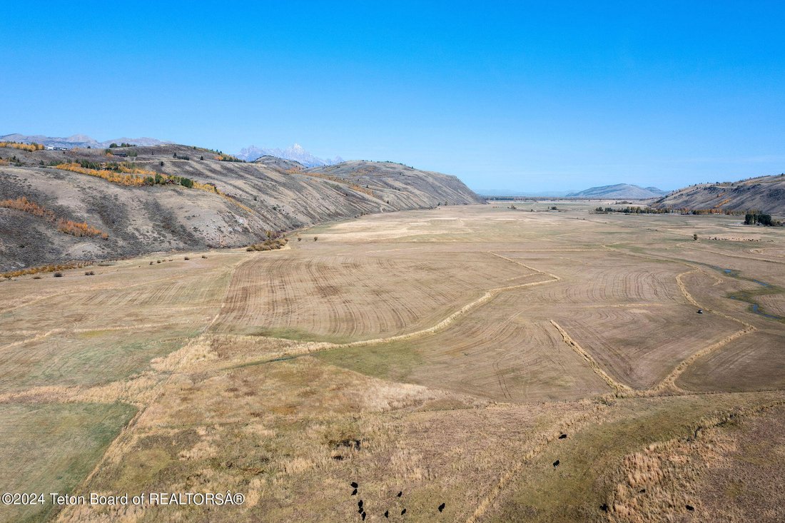 Jackson, Wyoming, United States 5 - 17098590
