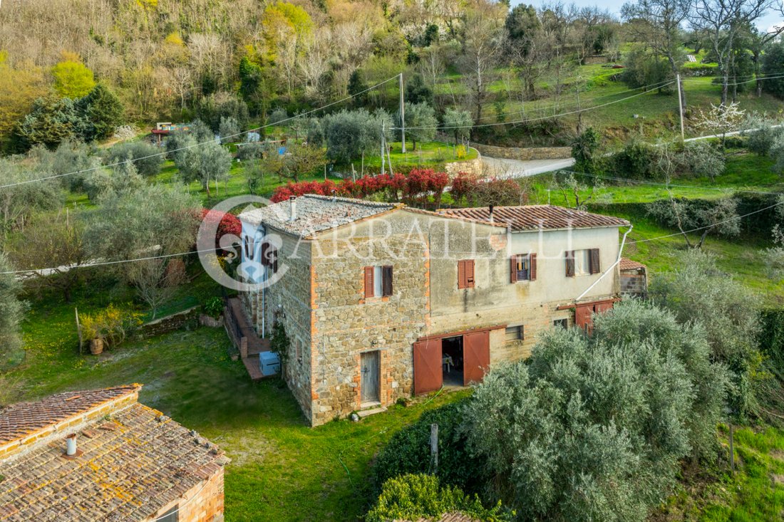 Country House in Montalcino, Tuscany, Italy 3 - 15465414