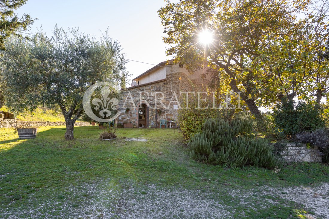 Country House in Scansano, Tuscany, Italy 3 - 16621079