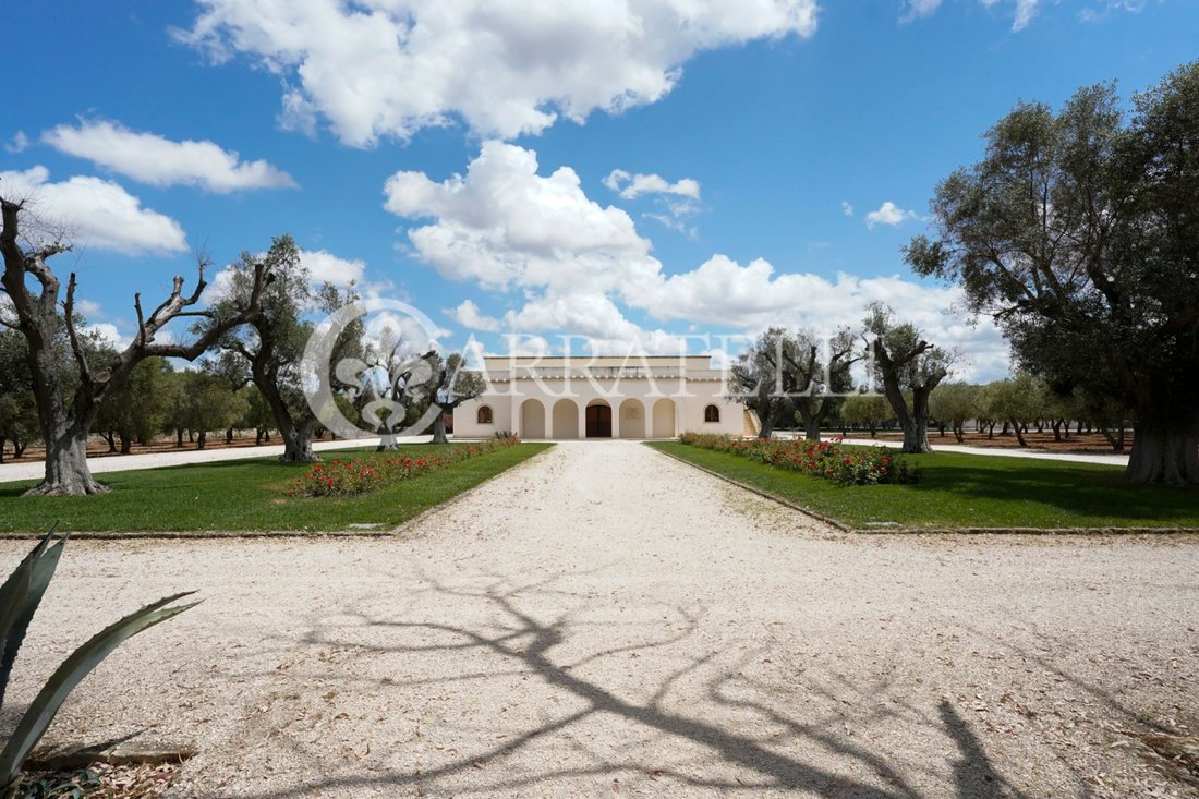 Country House in Torre Santa Susanna, Apulia, Italy 5 - 14859213