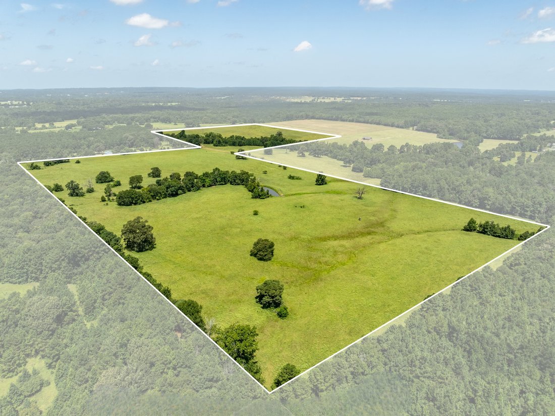 Farm Ranch in Palestine, Texas, United States 2 - 17123183